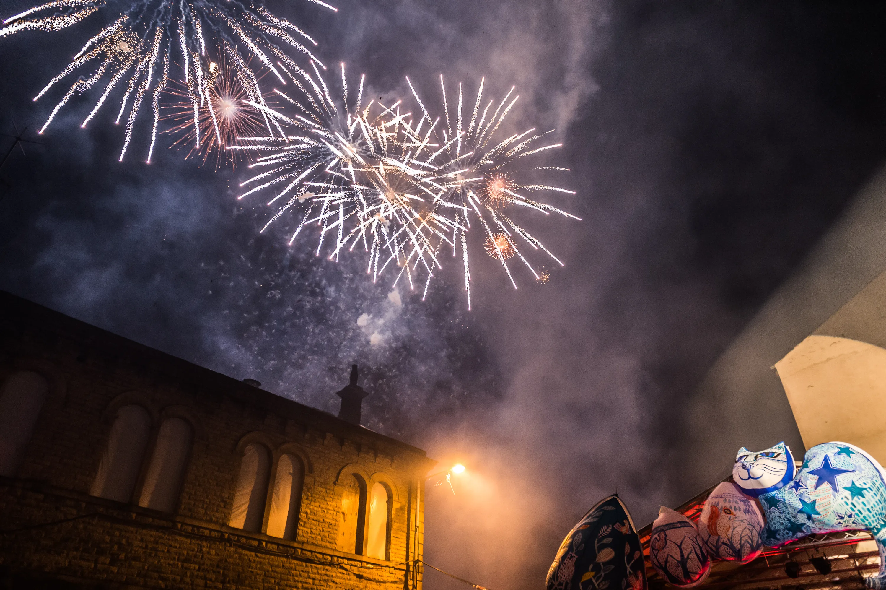 Winterlight 2014